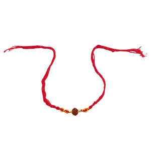 Laxmi String Rudraksh (C) Dozen