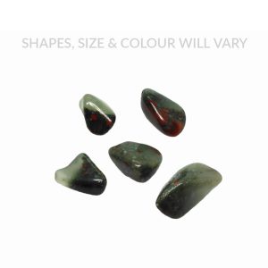 African Bloodstone - Seftonite (x5 Piece)
