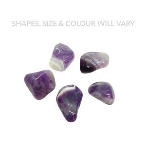 Amethyst (x5 Piece)