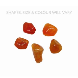 Carnelian (x5 Piece)